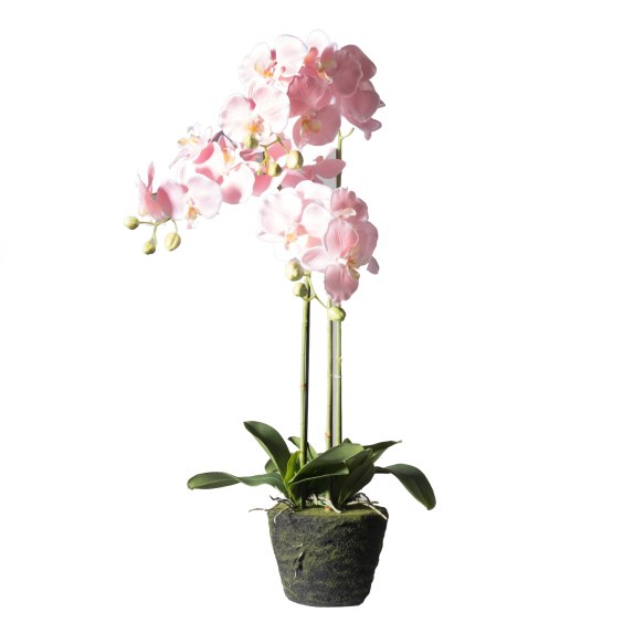 Supergreens Τεχνητό Φυτό Ορχιδέα Phalaenopsis Real Touch...