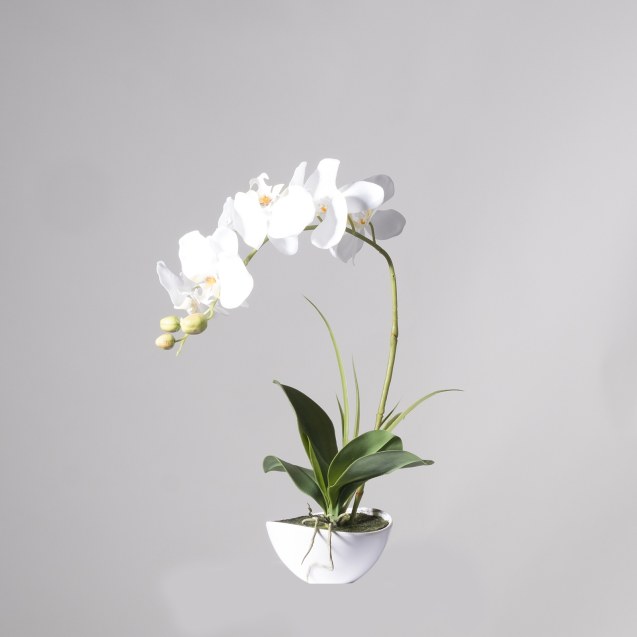 Supergreens Τεχνητό Φυτό Ορχιδέα Phalaenopsis...