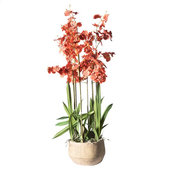 Supergreens Τεχνητό Φυτό Ορχιδέα Oncidium Κόκκινη με...