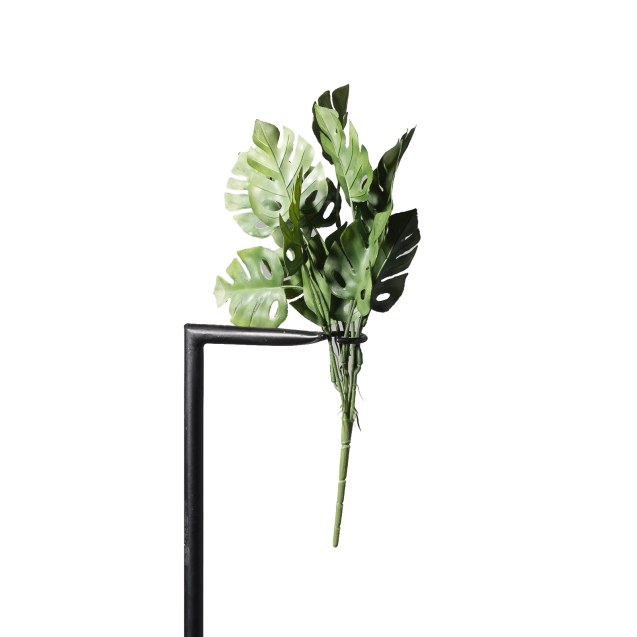 Supergreens Τεχνητή Χωνευτή Μονστέρα ''Minima''...