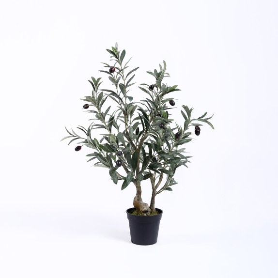 Supergreens Τεχνητό Φυτό Ελιά Πράσινο 70 εκ.