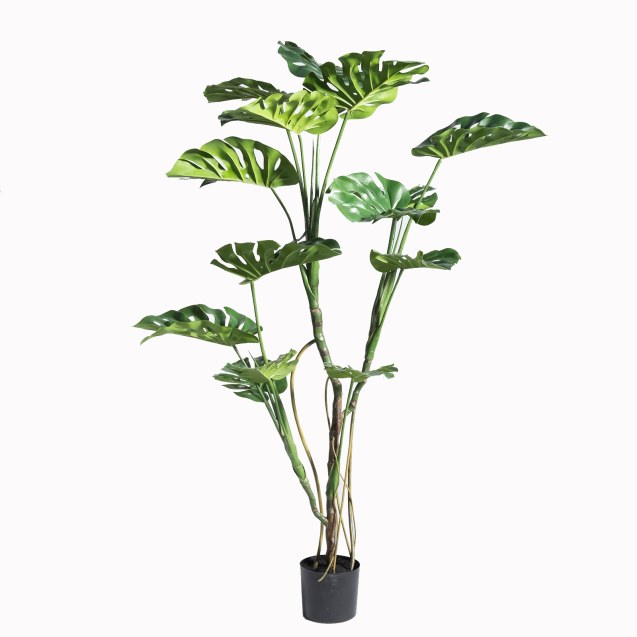 Supergreens Τεχνητό Δέντρο Μονστέρα Πράσινο 150...