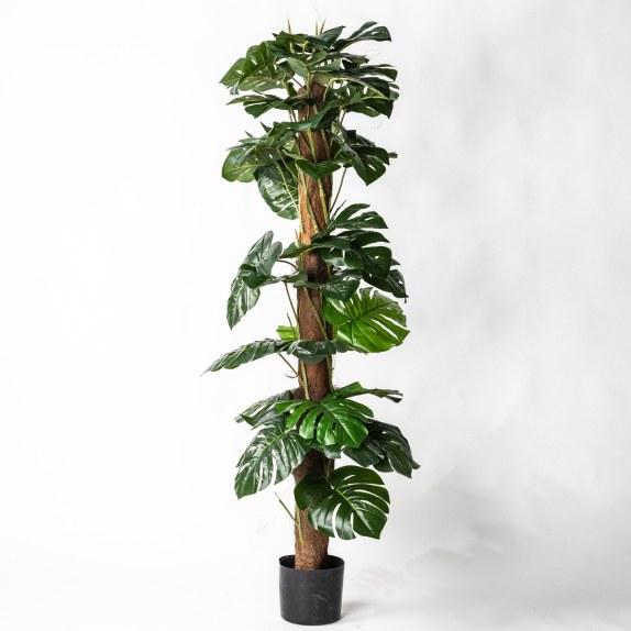 Supergreens Τεχνητό Δέντρο Μονστέρα Πράσινο 150 εκ.