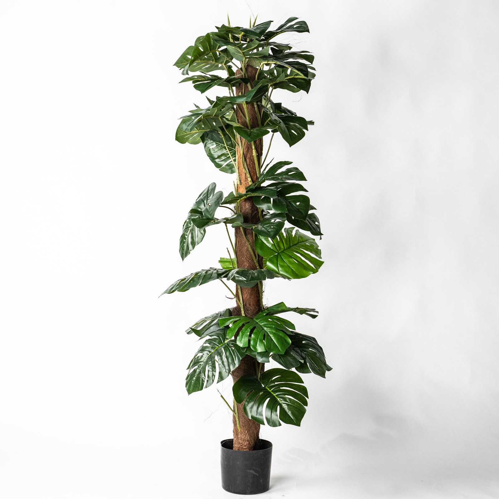 Supergreens Τεχνητό Δέντρο Μονστέρα Πράσινο 150 εκ.