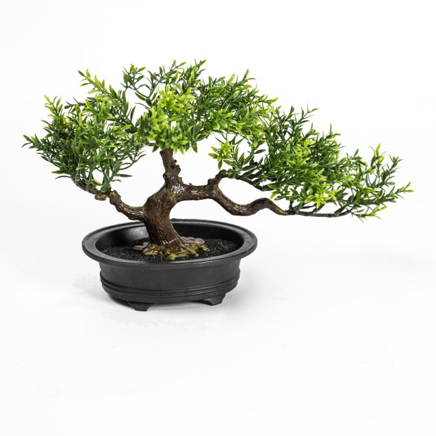 Supergreens Τεχνητός Μπονσάι Φίκος Taiwan...