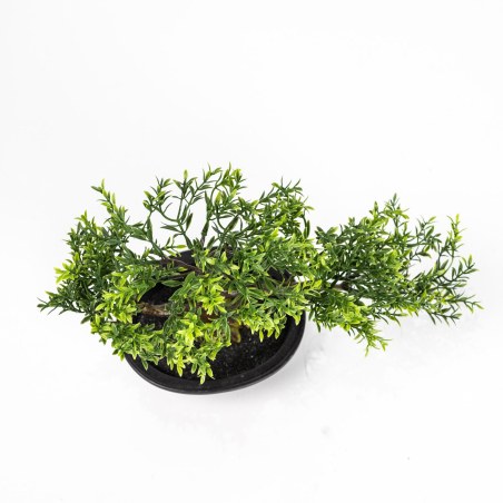 Supergreens Τεχνητός Μπονσάι Φίκος Taiwan Πράσινο 35x15 εκ.