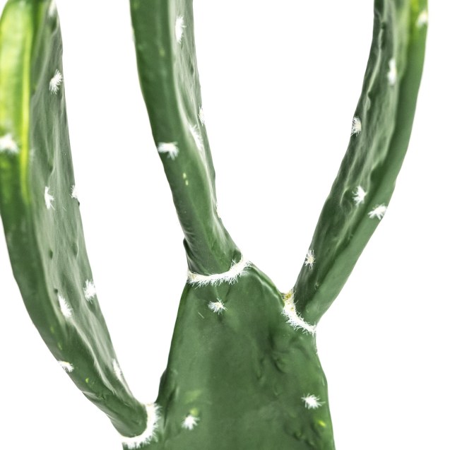 Supergreens Τεχνητό Φυτό Φραγκοσυκιά Skinners...