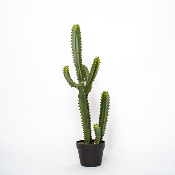 Supergreens Τεχνητό Φυτό Εφόρμπια Mili Πράσινο 89 εκ.