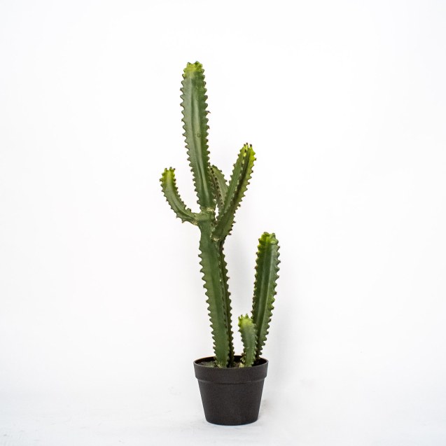 Supergreens Τεχνητό Φυτό Εφόρμπια Mili Πράσινο...