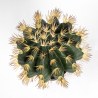 Supergreens Τεχνητό Φυτό Εχινόκακτος Πράσινο 52 εκ.
