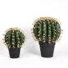 Supergreens Τεχνητό Φυτό Εχινόκακτος Πράσινο 52 εκ.