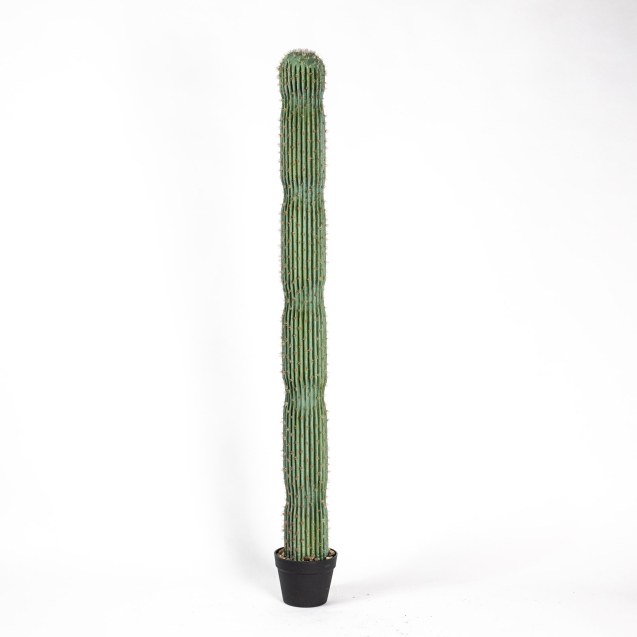 Supergreens Τεχνητό Δέντρο Εφόρμπια Mili...