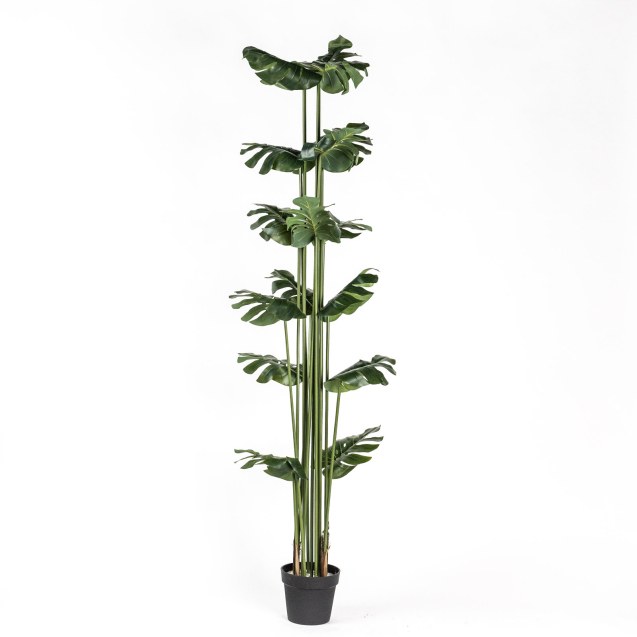 Supergreens Τεχνητό Δέντρο Μονστέρα Πράσινο 200...