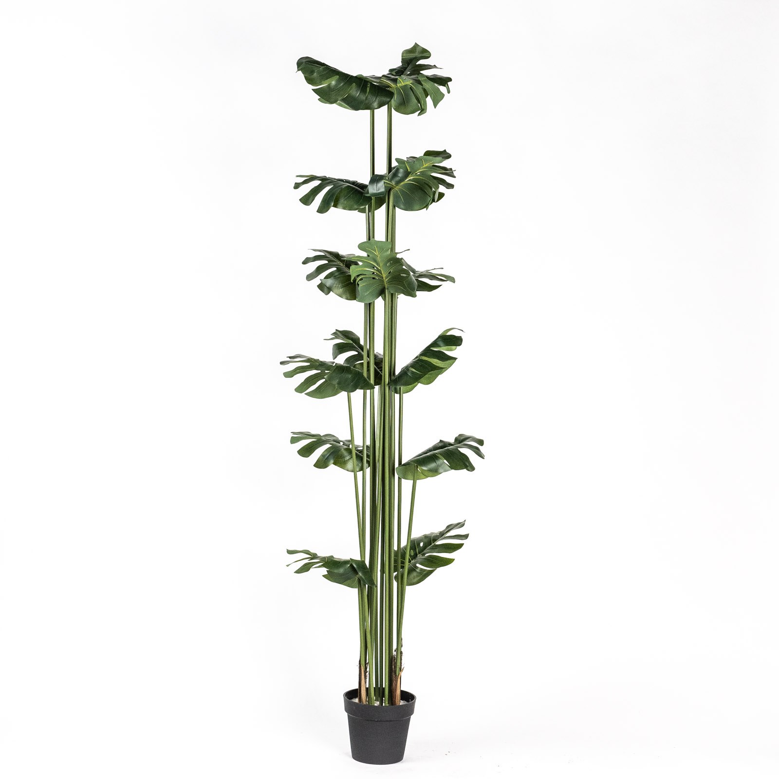 Supergreens Τεχνητό Δέντρο Μονστέρα Πράσινο 200 εκ.