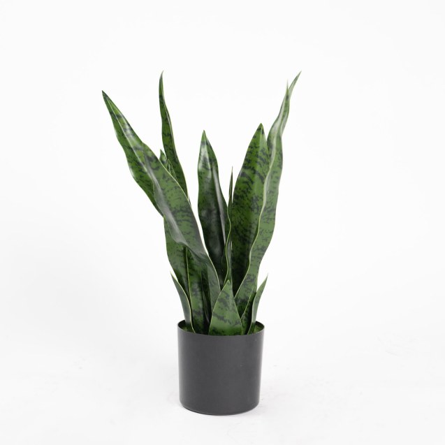 Supergreens Τεχνητό Φυτό Σανσεβιέρια Robusta...