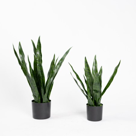 Supergreens Τεχνητό Φυτό Σανσεβιέρια Robusta Πράσινο 55 εκ.