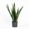 Supergreens Τεχνητό Φυτό Σανσεβιέρια Robusta Πράσινο 70 εκ.