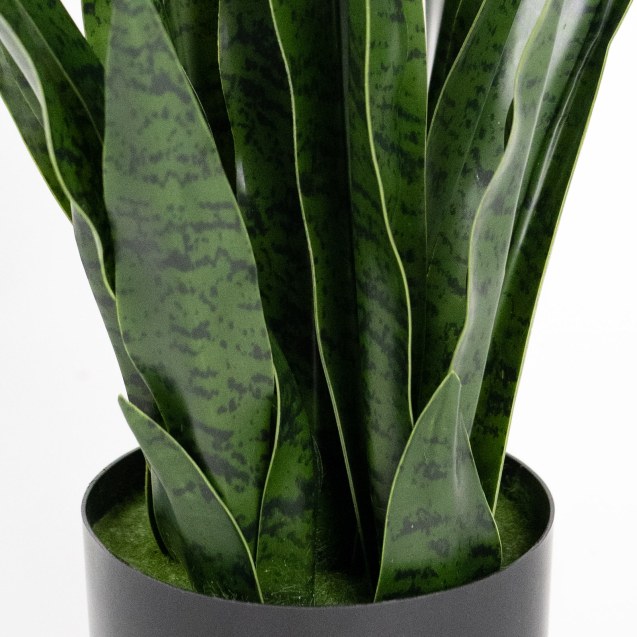 Supergreens Τεχνητό Φυτό Σανσεβιέρια Robusta...