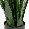 Supergreens Τεχνητό Φυτό Σανσεβιέρια Robusta Πράσινο 70 εκ.