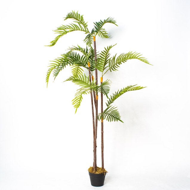 Supergreens Τεχνητό Δέντρο Κοκοφοίνικας Πράσινο...