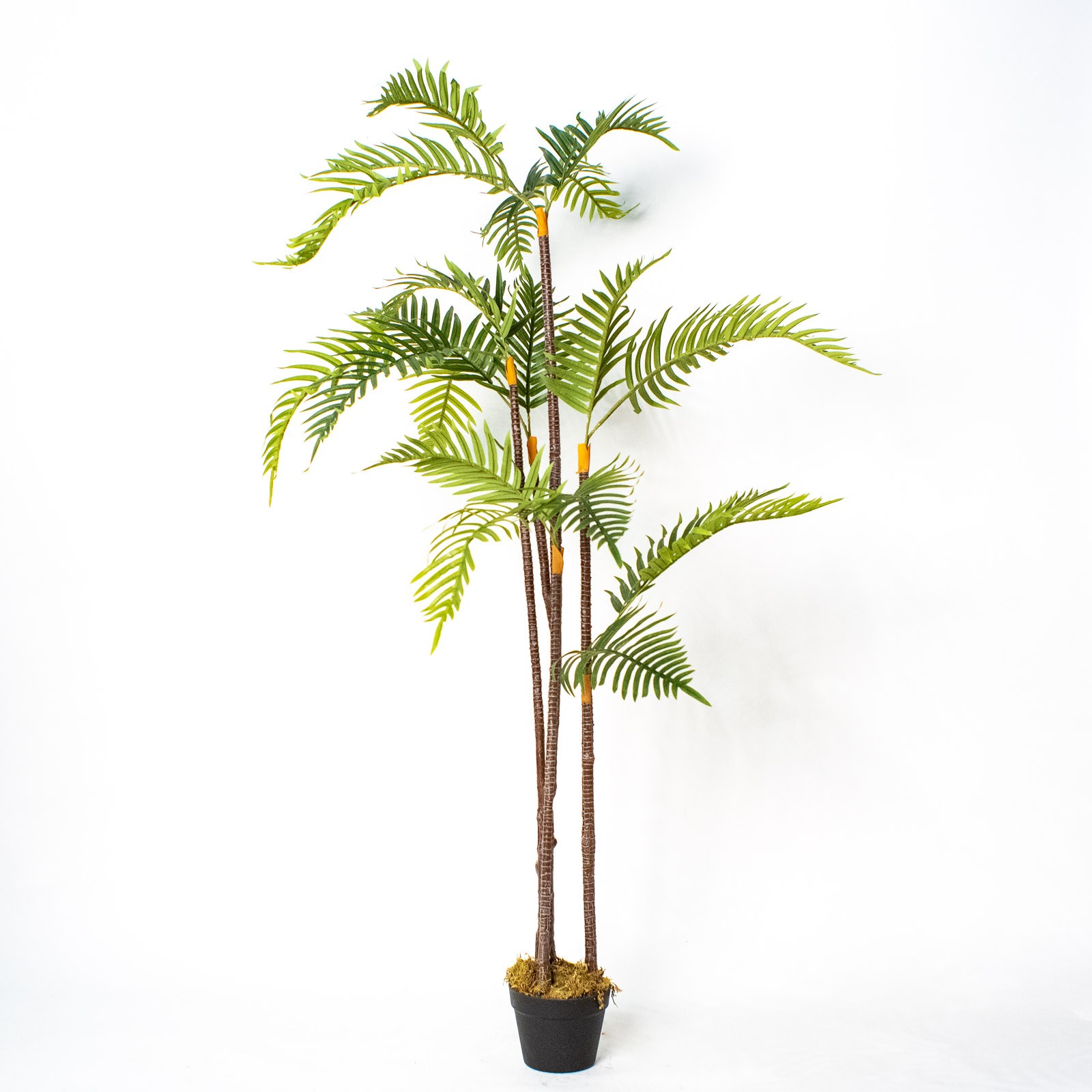 Supergreens Τεχνητό Δέντρο Κοκοφοίνικας Πράσινο 180 εκ.