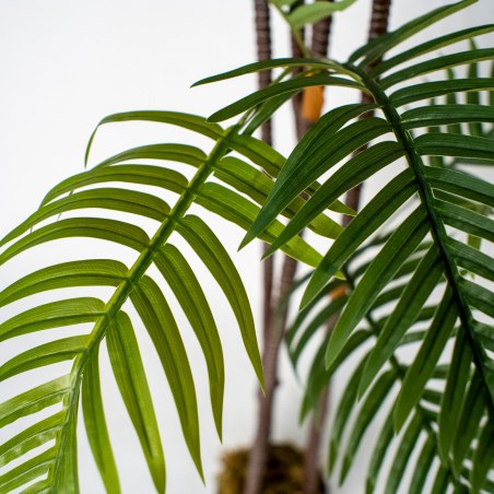 Supergreens Τεχνητό Δέντρο Κοκοφοίνικας Πράσινο 180 εκ.