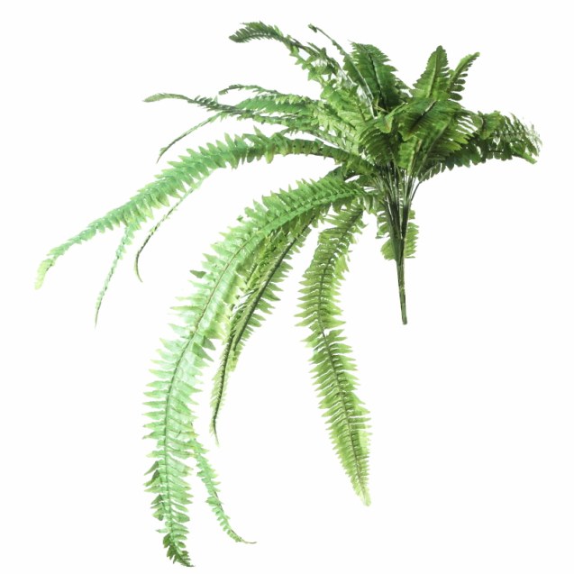 Supergreens Τεχνητή Χωνευτή Φτέρη Πράσινη 80 εκ.