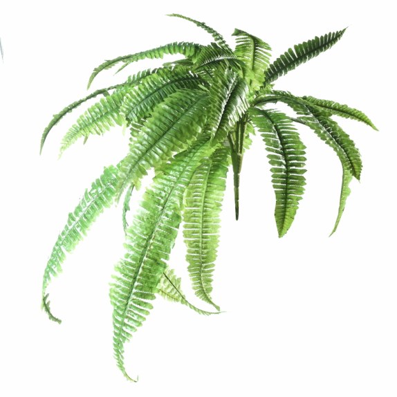 Supergreens Τεχνητή Χωνευτή Φτέρη Πράσινη 100 εκ.