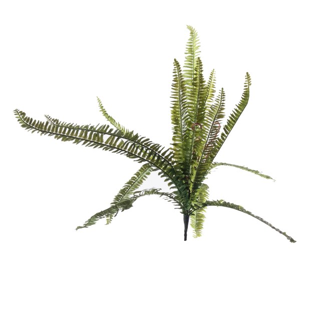 Supergreens Τεχνητή Χωνευτή Φτέρη Boston...