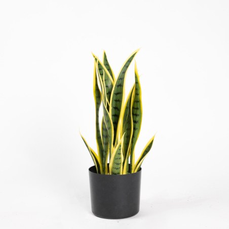 Supergreens Τεχνητό Φυτό Σανσεβιέρα Trifasciata Πράσινο 45 εκ.