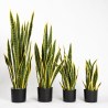 Supergreens Τεχνητό Φυτό Σανσεβιέρα Trifasciata Πράσινο 45 εκ.