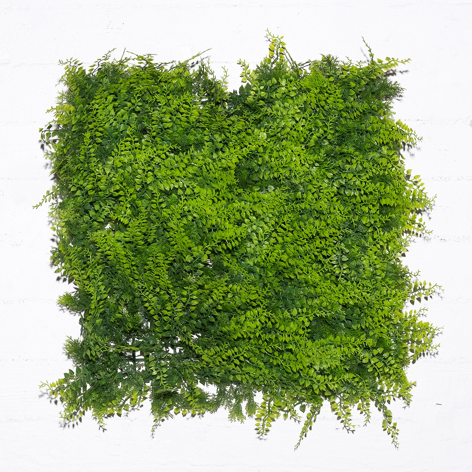 Supergreens Τεχνητή Φυλλωσιά Φτέρη "Classic" 50x50 εκ.