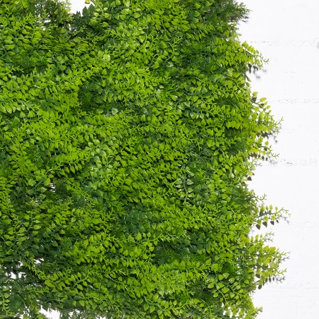 Supergreens Τεχνητή Φυλλωσιά Φτέρη "Classic" 50x50 εκ.