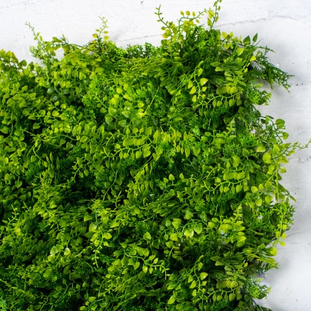 Supergreens Τεχνητή Φυλλωσιά Φτέρη "Classic" 50x50 εκ.