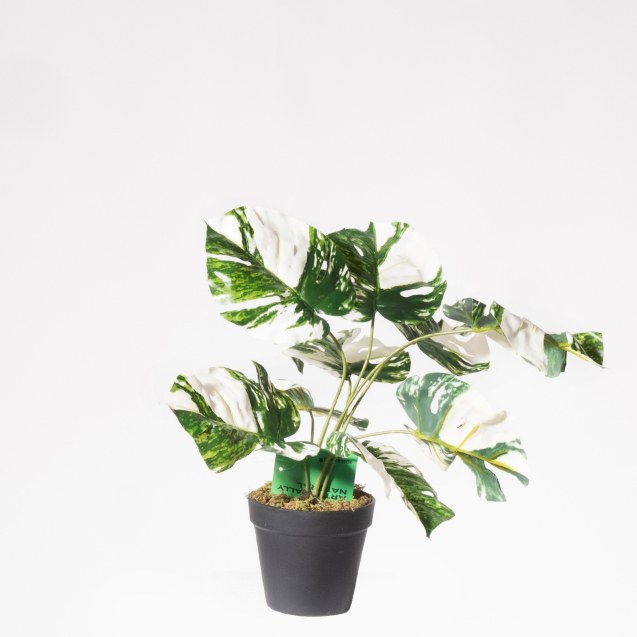 Supergreens Τεχνητό Φυτό Μονστέρα Albo...