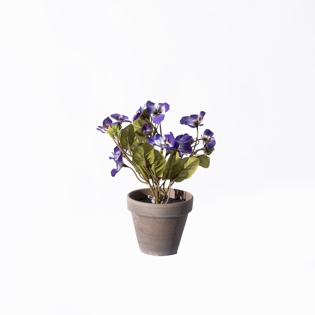 Supergreens Τεχνητό Φυτό Πανσές Μωβ 19 εκ.