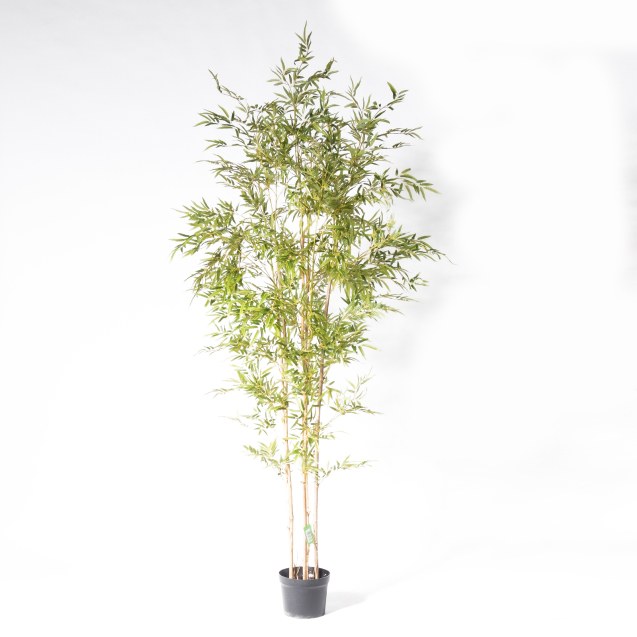 Supergreens Τεχνητό Δέντρο Μπαμπού Lucky...