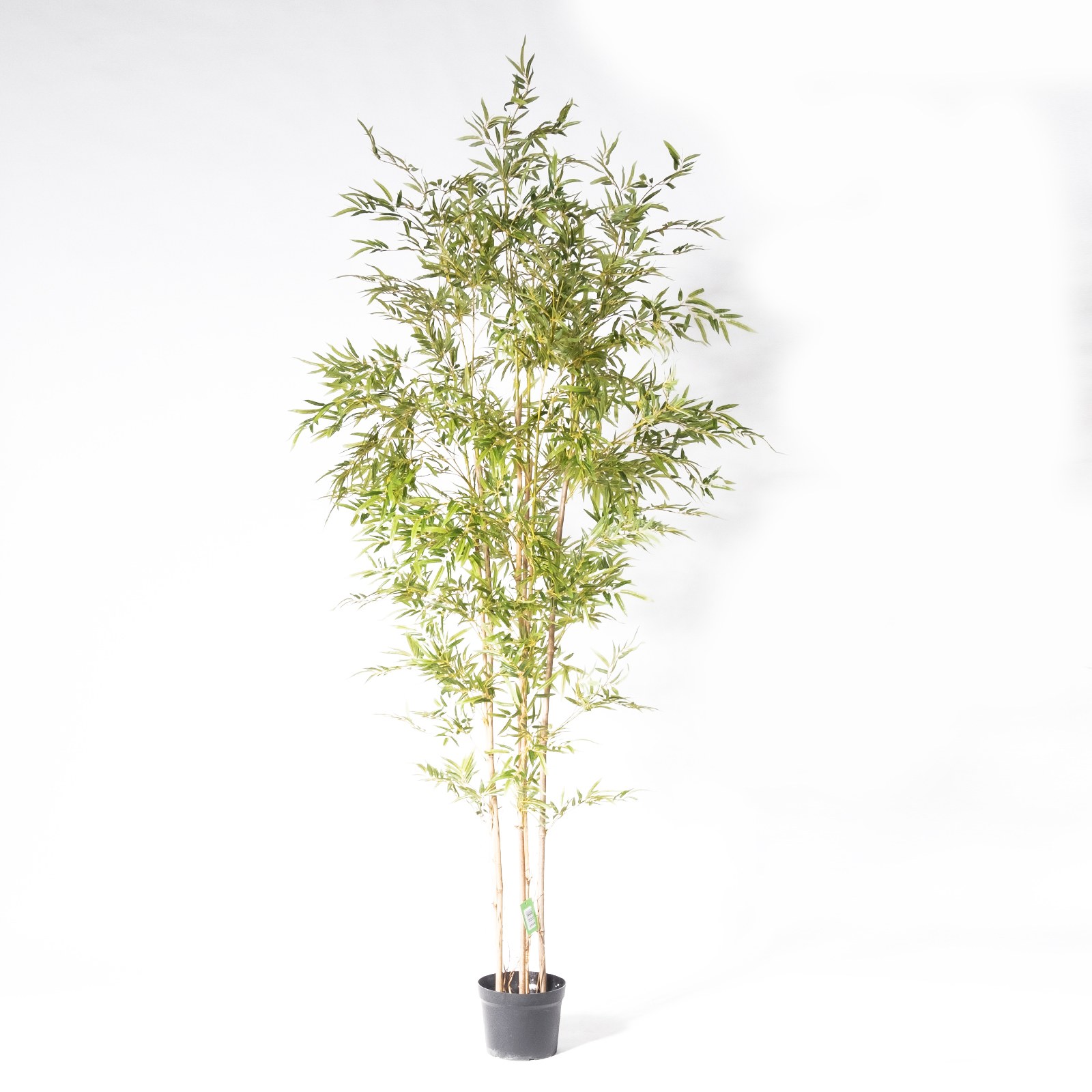 Supergreens Τεχνητό Δέντρο Μπαμπού Lucky Πράσινο 250 εκ.