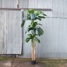 Supergreens Τεχνητό Δέντρο Μπανανιά Πράσινο 300 εκ.