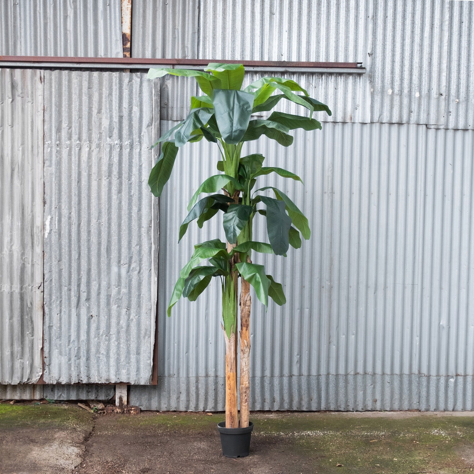 Supergreens Τεχνητό Δέντρο Μπανανιά Πράσινο 300 εκ.