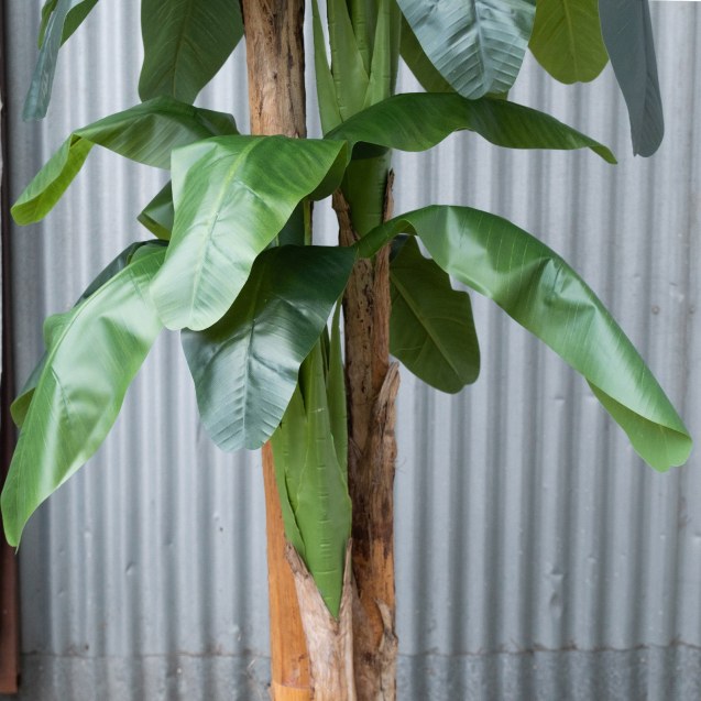 Supergreens Τεχνητό Δέντρο Μπανανιά Πράσινο 300...