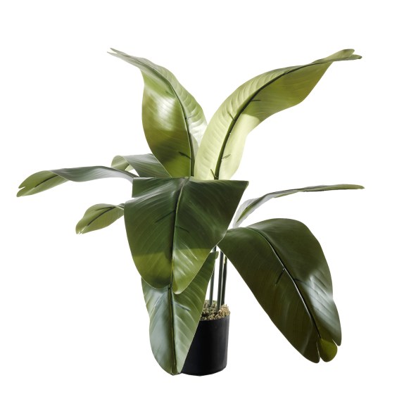 Supergreens Τεχνητό Δέντρο του Ταξιδιώτη Πράσινο 90 εκ.