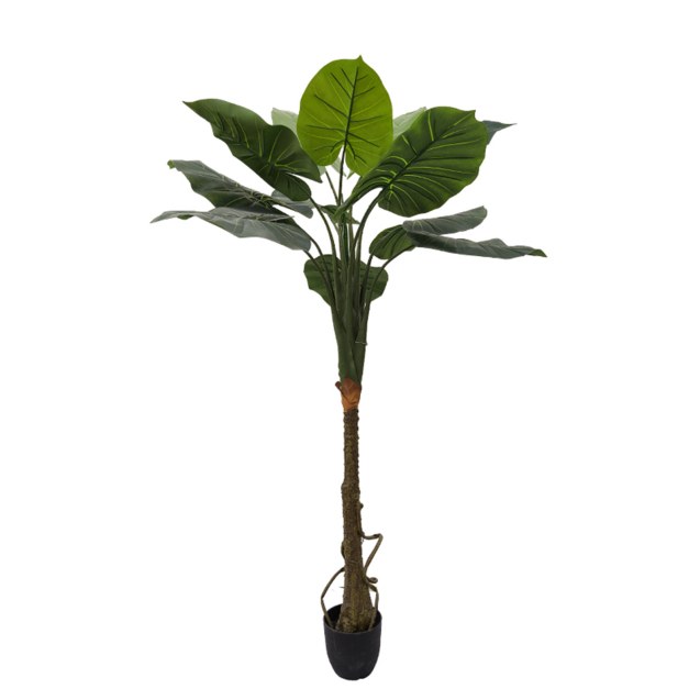 Supergreens Τεχνητό Δέντρο Αλοκάσια Πράσινο 150...