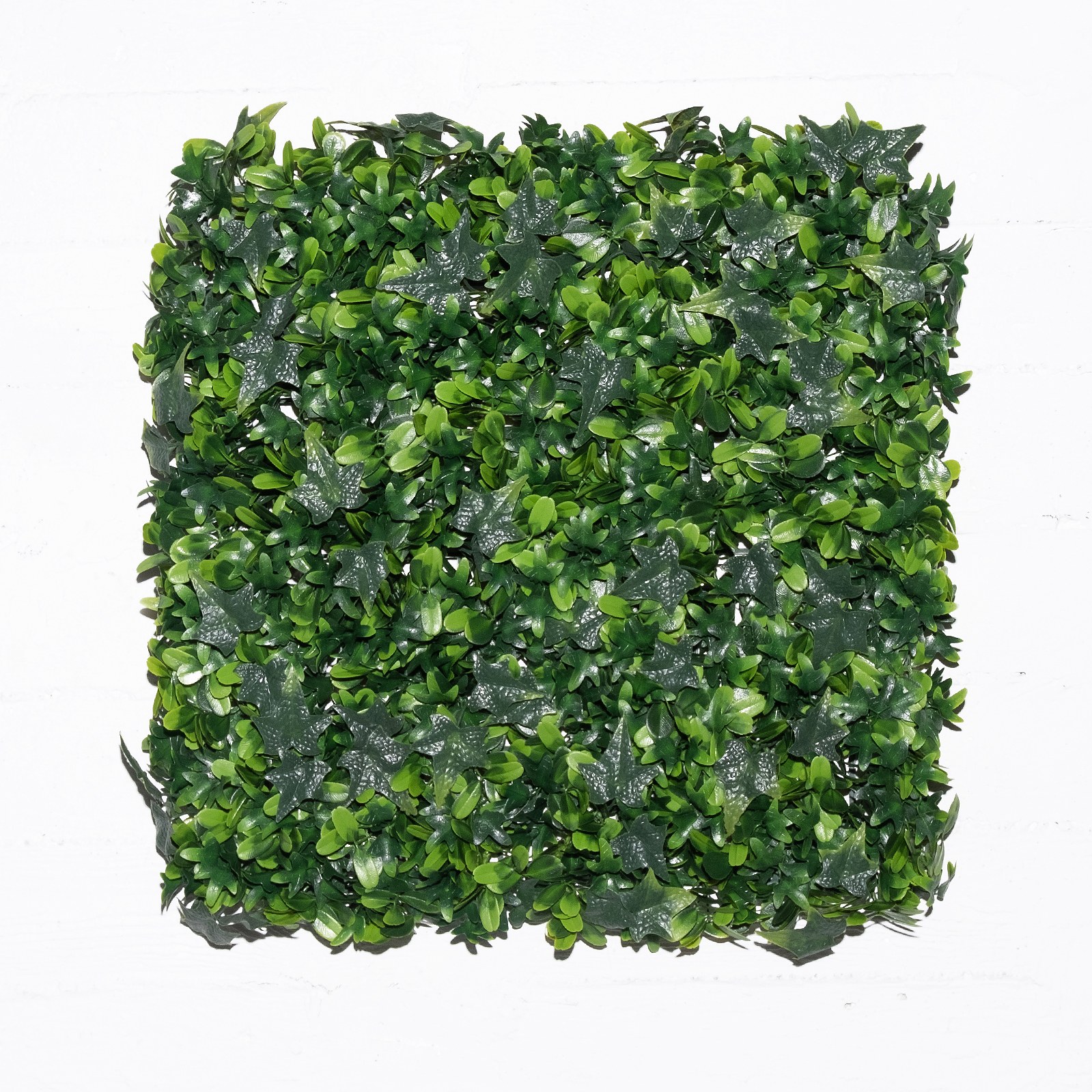 Supergreens Τεχνητή Φυλλωσιά Κισσός με Φίκο 50x50 εκ.