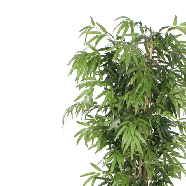 Supergreens Τεχνητό Δέντρο Μπαμπού Lucky...