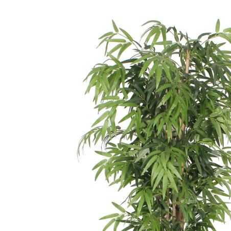 Supergreens Τεχνητό Δέντρο Μπαμπού Lucky Πράσινο 180 εκ.