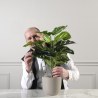 Supergreens Τεχνητό Φυτό Μονστέρα ''Minima'' 60 εκ.