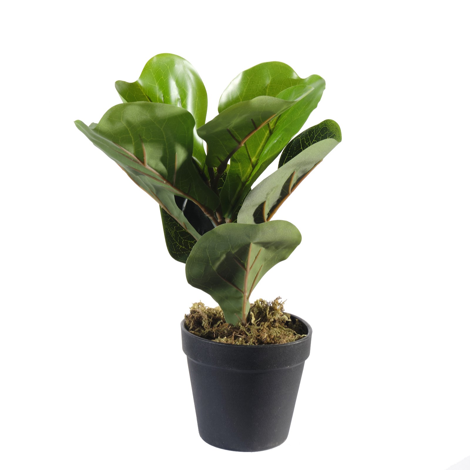 Supergreens Τεχνητό Φυτό Φίκος Λυράτα Πράσινο 25 εκ.