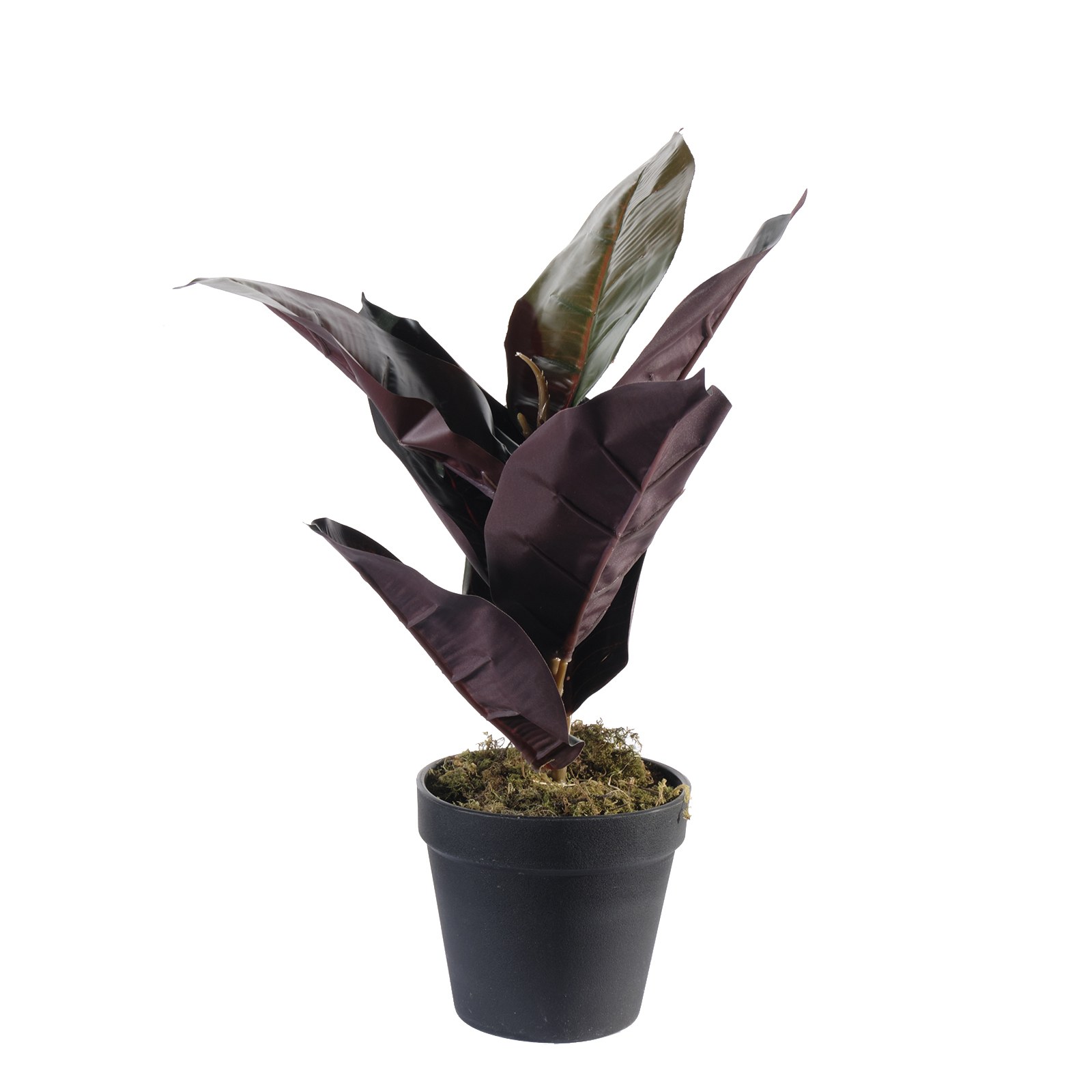 Supergreens Τεχνητό Φυτό Φίκος Elastica Ruby Πράσινο 36 εκ.