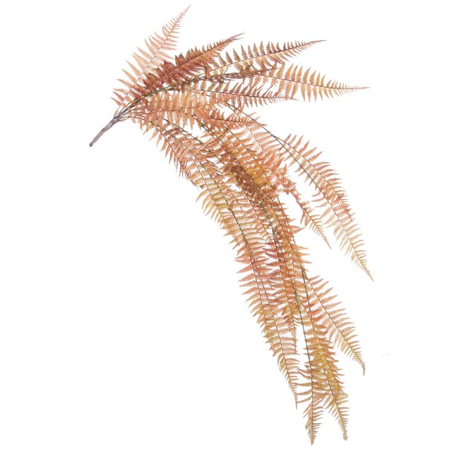 Supergreens Τεχνητή Κρεμαστή Φτέρη Boston Καφέ...